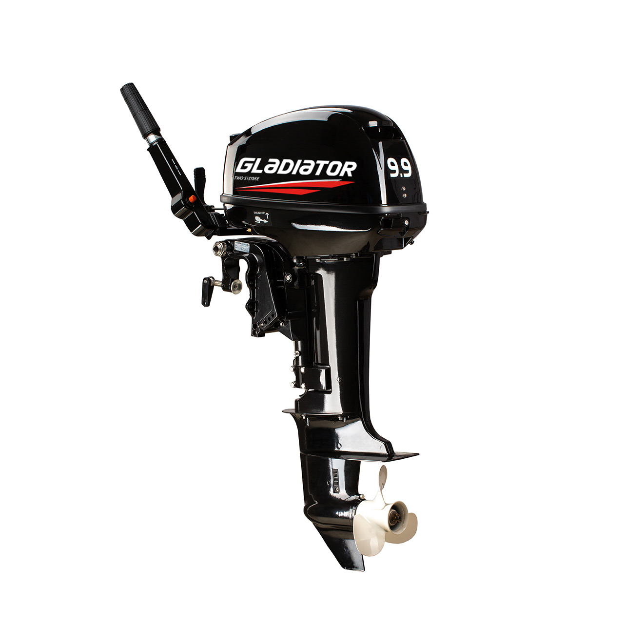 ЛОДОЧНЫЙ МОТОР GLADIATOR G9.9FHS в Пятигорске