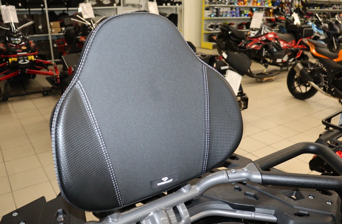 Квадроцикл PROMAX RENEGADE 300 LONG WINCH PRO (2025) в Пятигорске