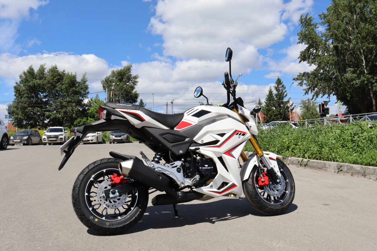 Мотоцикл PROMAX STRYKER 200(49) 2.0 в Пятигорске