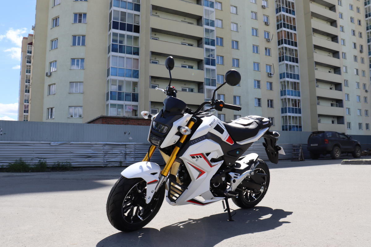 Мотоцикл PROMAX STRYKER 200(49) 2.0 в Пятигорске