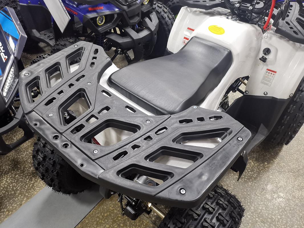 Квадроцикл PROMAX WILD 175 LUX в Пятигорске