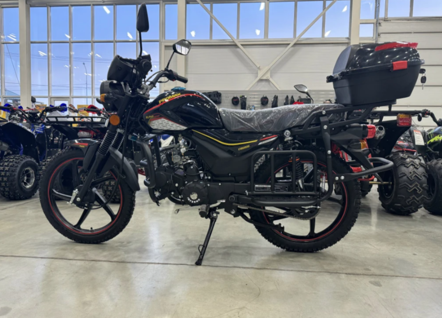 Мопед PROMAX ALPHA TOURIST 150(49) LUX в Пятигорске