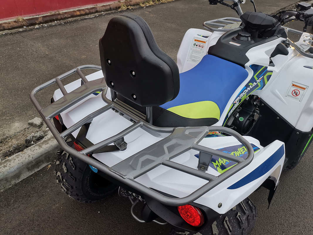 Квадроцикл PROMAX RENEGADE 280 LUX (2025) в Пятигорске