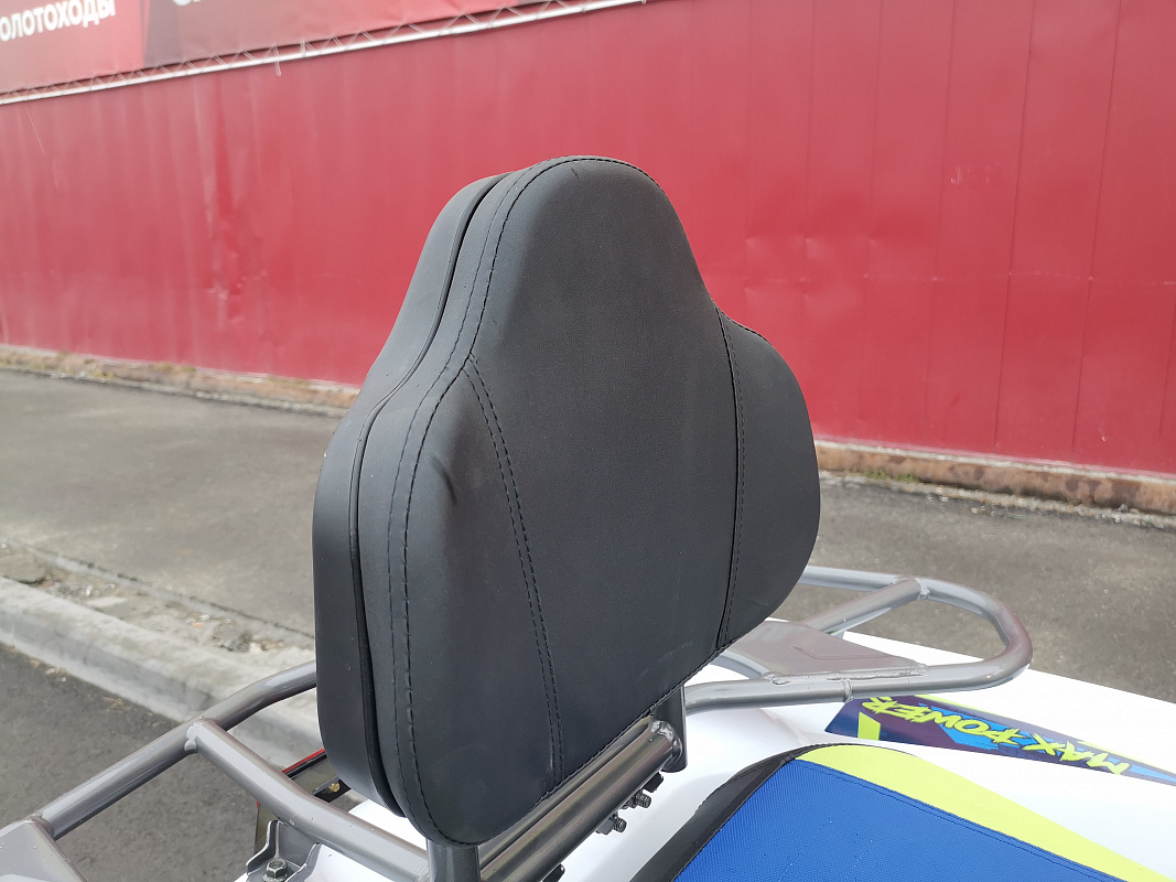 Квадроцикл PROMAX RENEGADE 280 LUX (2025) в Пятигорске