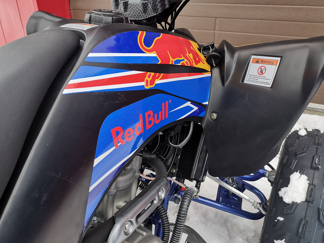Квадроцикл PROMAX RAPTOR 300 NEW RedBull в Пятигорске