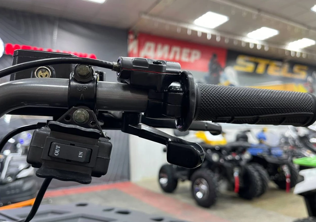 Квадроцикл PROMAX RENEGADE 300 LONG WINCH PRO (2025) в Пятигорске