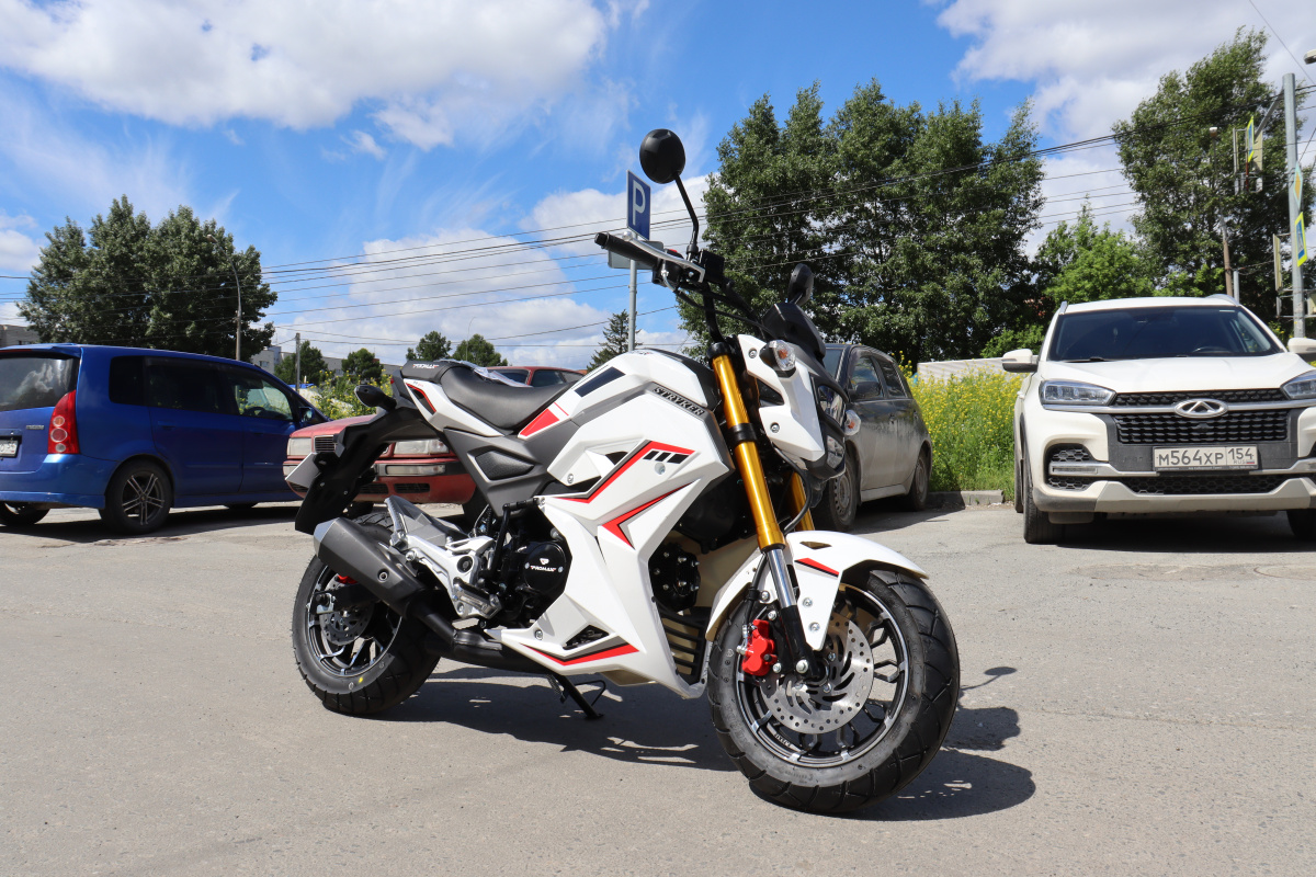 Мотоцикл PROMAX STRYKER 200(49) 2.0 в Пятигорске