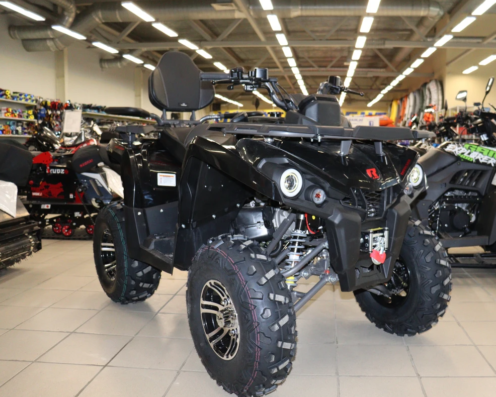 Квадроцикл PROMAX RENEGADE 300 LONG WINCH PRO (2025) в Пятигорске