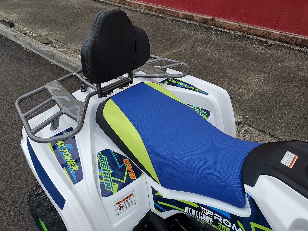 Квадроцикл PROMAX RENEGADE 280 LUX (2025) в Пятигорске