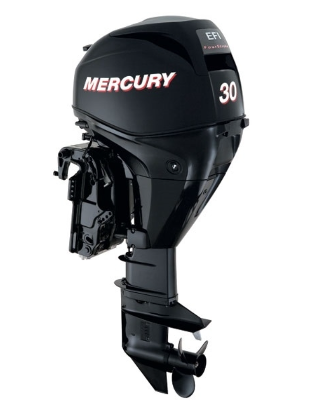 ЛОДОЧНЫЙ МОТОР MERCURY  F 30 ELH GA EFI в Пятигорске