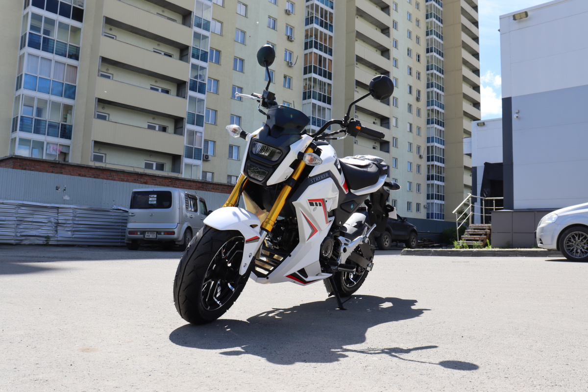 Мотоцикл PROMAX STRYKER 200(49) 2.0 в Пятигорске