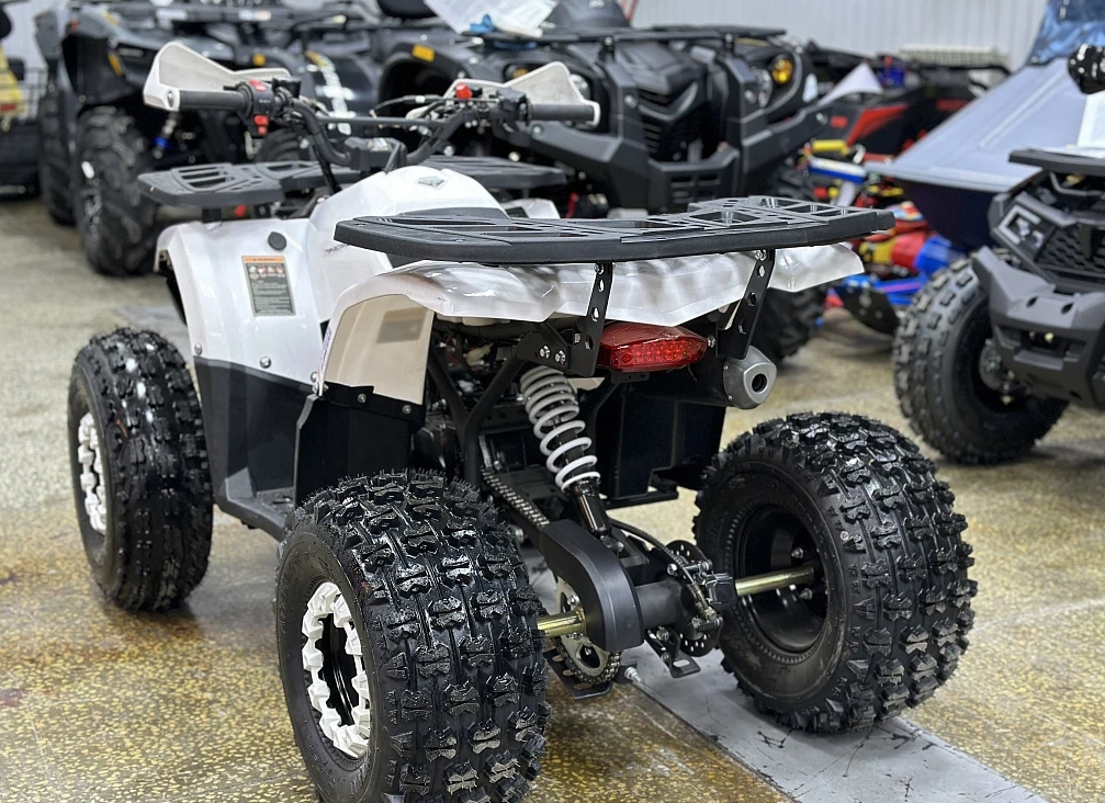 Квадроцикл PROMAX WILD 2.0 190 в Пятигорске