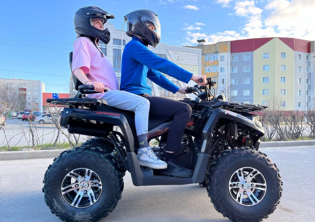 Квадроцикл PROMAX RENEGADE 300 LONG WINCH PRO (2025) в Пятигорске