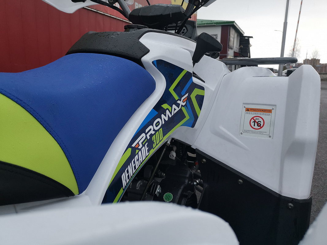 Квадроцикл PROMAX RENEGADE 280 LUX (2025) в Пятигорске