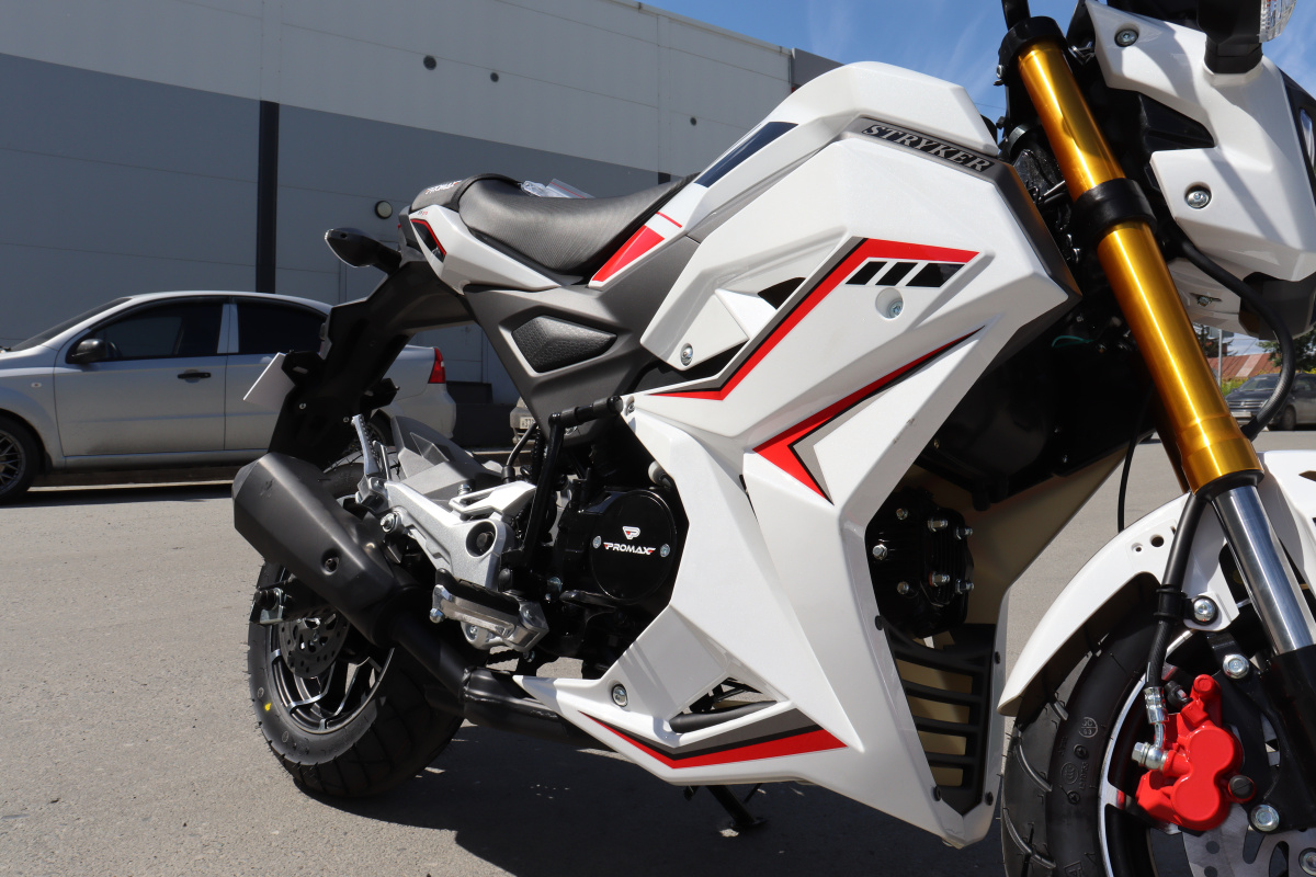 Мотоцикл PROMAX STRYKER 200(49) 2.0 в Пятигорске