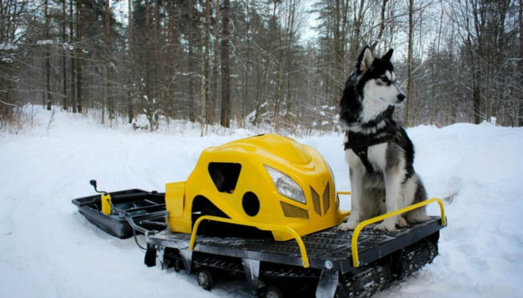 Мотобуксировщик LEBEDEV MOTORS ВОЛКОДАВ POWER V13 в Пятигорске