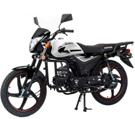 Мопед MOTOLAND (МОТОЛЕНД) Альфа RS 11 (LM48-B) в Пятигорске