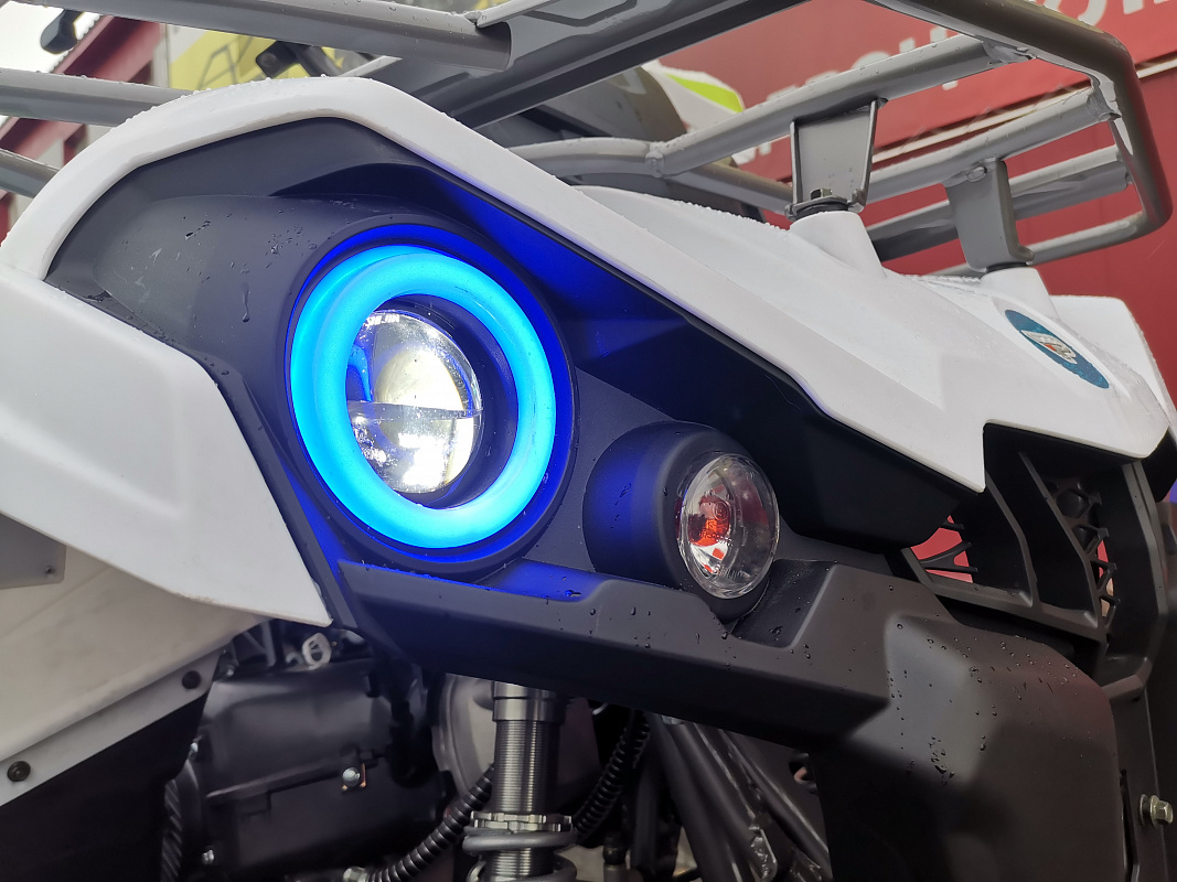 Квадроцикл PROMAX RENEGADE 280 LUX (2025) в Пятигорске