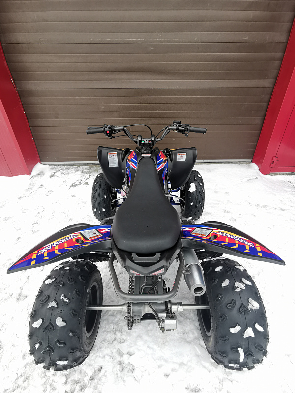 Квадроцикл PROMAX RAPTOR 300 NEW RedBull в Пятигорске