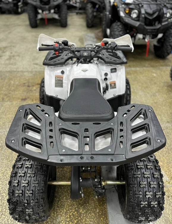 Квадроцикл PROMAX WILD 2.0 190 в Пятигорске