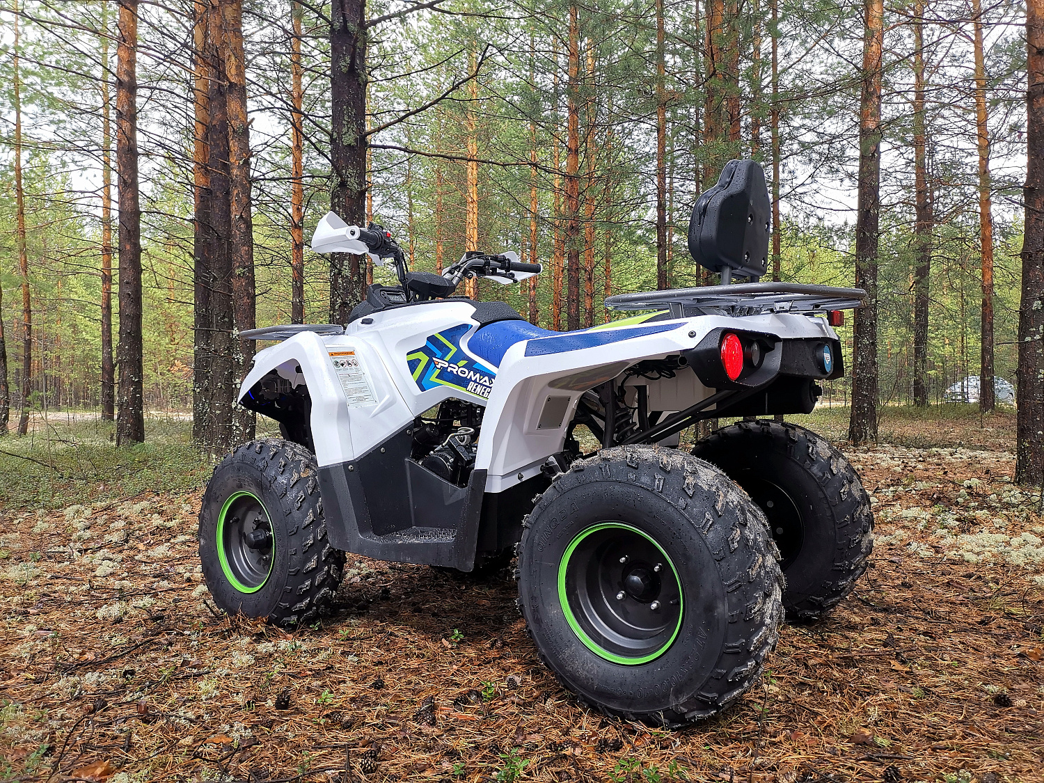 Квадроцикл PROMAX RENEGADE 280 (2025) в Пятигорске