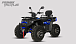 Квадроцикл PROMAX TAURUS 300 MAX-PRO LONG в Пятигорске