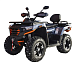 Квадроцикл MOTOLAND (МОТОЛЕНД) 300 MAX X в Пятигорске