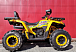 Квадроцикл PROMAX STORM 280 LUX в Пятигорске