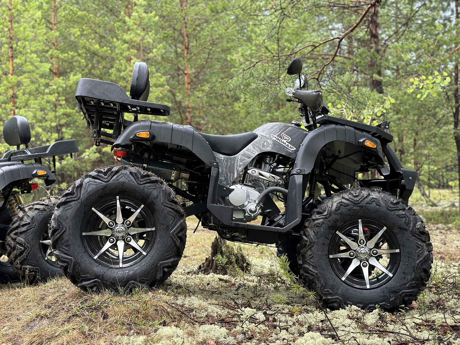 Квадроцикл PROMAX 320 DOMINATOR (2025) в Пятигорске