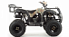 Квадроцикл MOTOLAND (МОТОЛЕНД) 200 ALL ROAD в Пятигорске