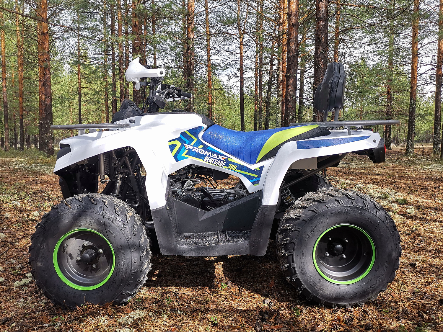 Квадроцикл PROMAX RENEGADE 280 (2025) в Пятигорске