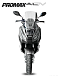 МаксиСкутер PROMAX-HONDA ADV 250(49) EFI (Inspired by HONDA) в Пятигорске