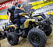 Квадроцикл PROMAX ATV 250 (2025) в Пятигорске