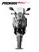 МаксиСкутер PROMAX-HONDA ADV 150 (49) (Inspired by HONDA) в Пятигорске