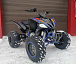 Квадроцикл PROMAX RAPTOR 300 NEW RedBull в Пятигорске