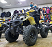 Квадроцикл PROMAX ATV 250 (2025) в Пятигорске