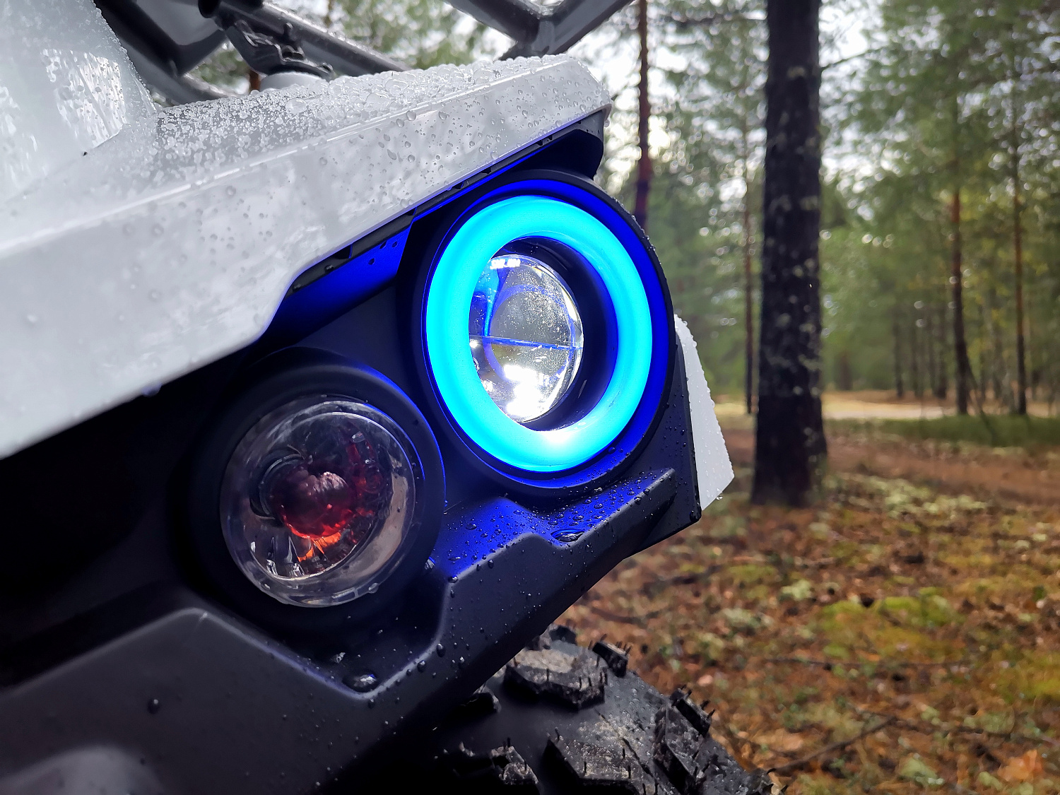 Квадроцикл PROMAX RENEGADE 280 (2025) в Пятигорске